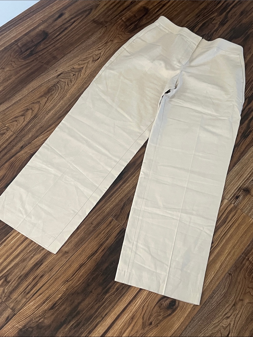Zara Wide-Leg Pants in Cream